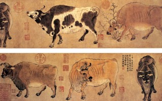 科技苑土元，科技苑土元养殖技术视频教程