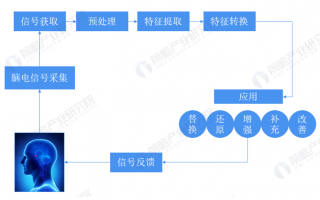 中电科技(南京) 竞逐脑机接口赛道，南京官宣“打造全国脑机接口产业高地”