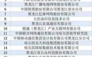 哈尔滨龙采科技怎么样 黑龙江省互联网企业20强出炉“龙采”居榜首